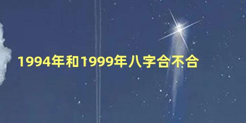 1994年和1999年八字合不合