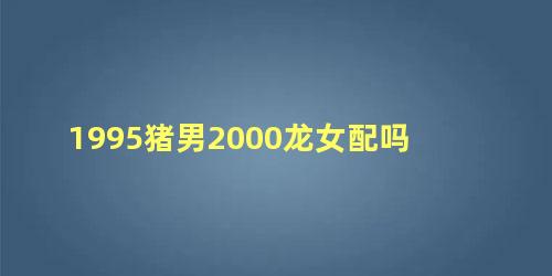 1995猪男2000龙女配吗