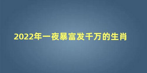 2022年一夜暴富发千万的生肖