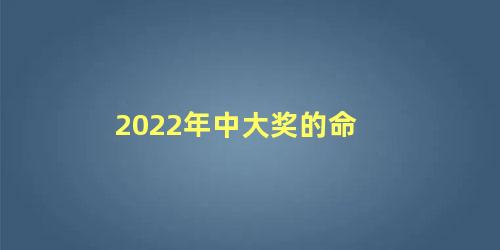 2022年中大奖的命