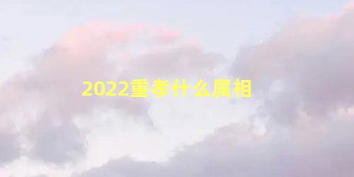 2022重孝什么属相