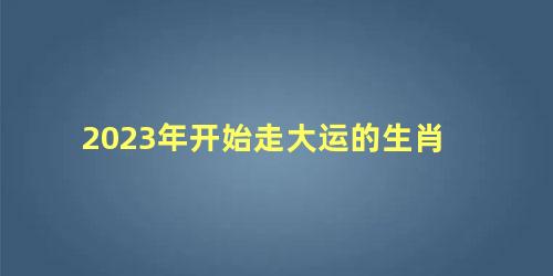 2023年开始走大运的生肖
