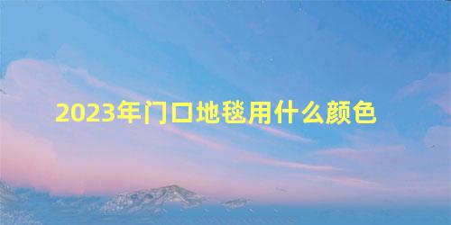 2023年门口地毯用什么颜色