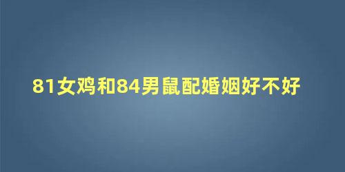 81女鸡和84男鼠配婚姻好不好