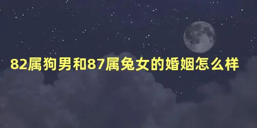 82属狗男和87属兔女的婚姻怎么样