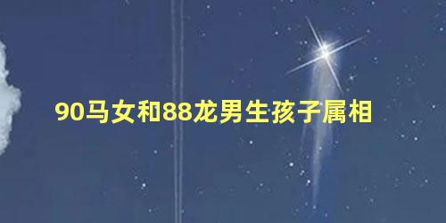 90马女和88龙男生孩子属相