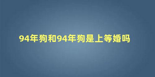 94年狗和94年狗是上等婚吗