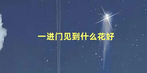 一进门见到什么花好