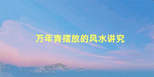 万年青摆放的风水讲究