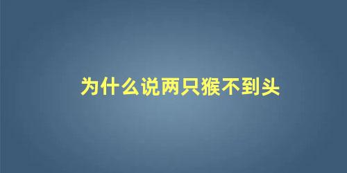 为什么说两只猴不到头