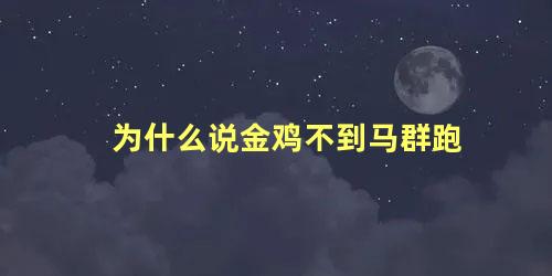 为什么说金鸡不到马群跑
