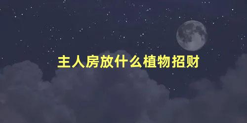 主人房放什么植物招财