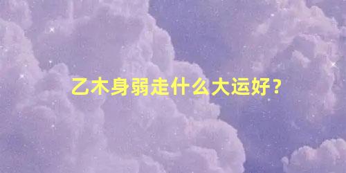 乙木身弱走什么大运好？