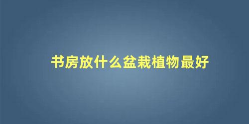 书房放什么盆栽植物最好