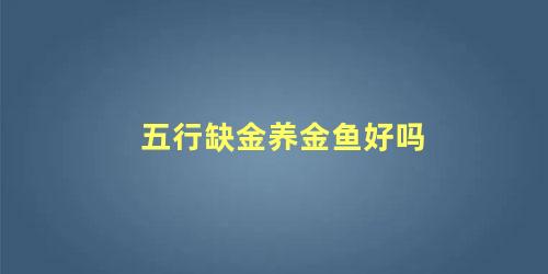 五行缺金养金鱼好吗