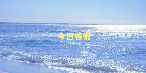 今日谷雨