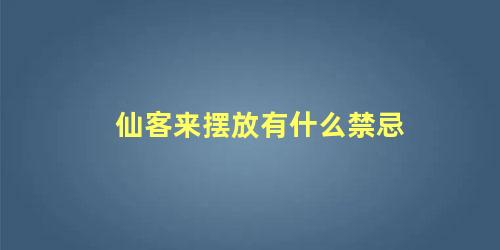 仙客来摆放有什么禁忌