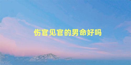 伤官见官的男命好吗