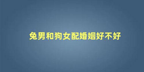 兔男和狗女配婚姻好不好