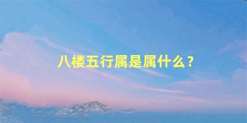 八楼五行属是属什么？