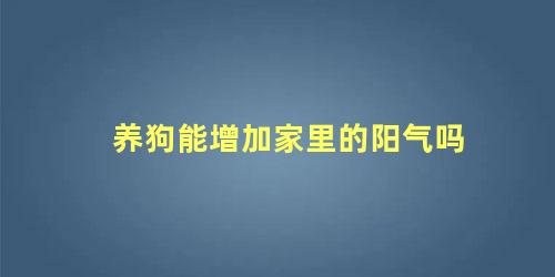 养狗能增加家里的阳气吗