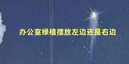 办公室绿植摆放左边还是右边