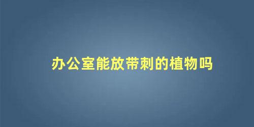 办公室能放带刺的植物吗