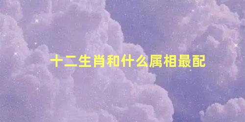 十二生肖和什么属相最配