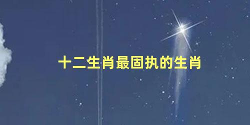 十二生肖最固执的生肖