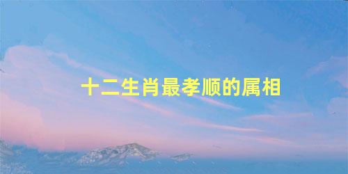 十二生肖最孝顺的属相