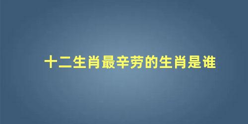 十二生肖最辛劳的生肖是谁