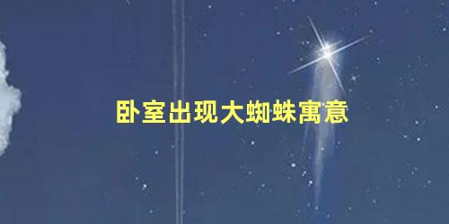 卧室出现大蜘蛛寓意