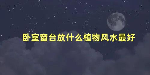 卧室窗台放什么植物风水最好