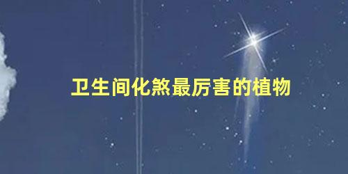 卫生间化煞最厉害的植物