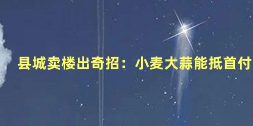 县城卖楼出奇招：小麦大蒜能抵首付