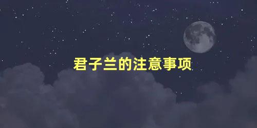 君子兰的注意事项
