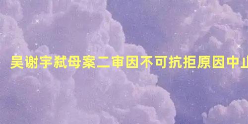 吴谢宇弑母案二审因不可抗拒原因中止