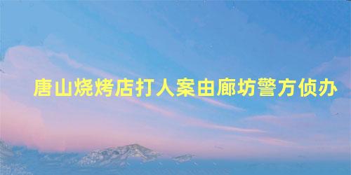 唐山烧烤店打人案由廊坊警方侦办