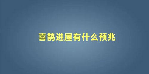 喜鹊进屋有什么预兆