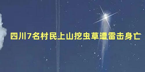 四川7名村民上山挖虫草遭雷击身亡