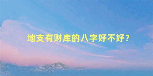 地支有财库的八字好不好？