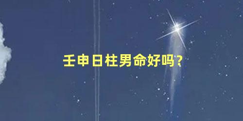 壬申日柱男命好吗？