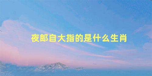 夜郎自大指的是什么生肖