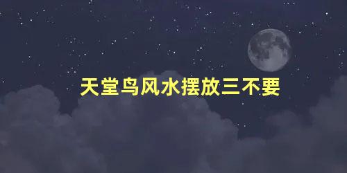 天堂鸟风水摆放三不要