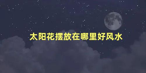 太阳花摆放在哪里好风水