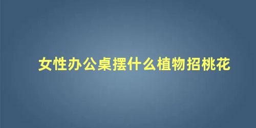 女性办公桌摆什么植物招桃花