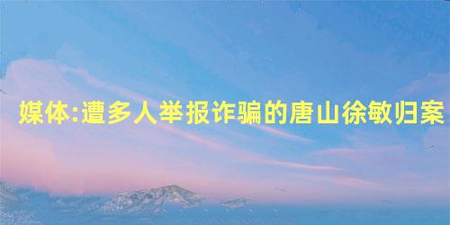 媒体:遭多人举报诈骗的唐山徐敏归案