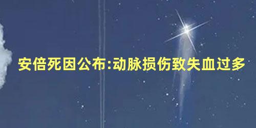 安倍死因公布:动脉损伤致失血过多