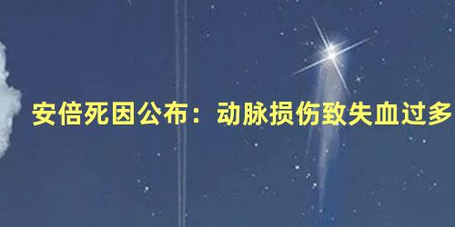 安倍死因公布：动脉损伤致失血过多