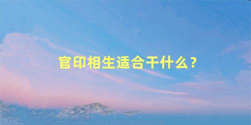 官印相生适合干什么？